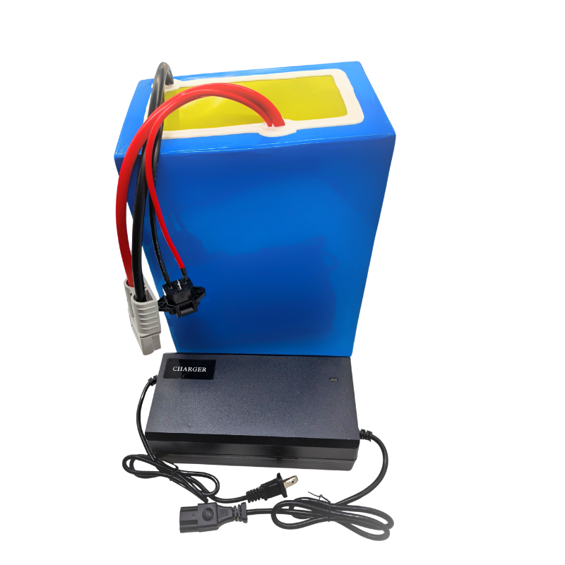 72V 100Ah Li ion With ChargerB - đánh giá và giá 72V 60Ah Lifepo4 Battery Pack